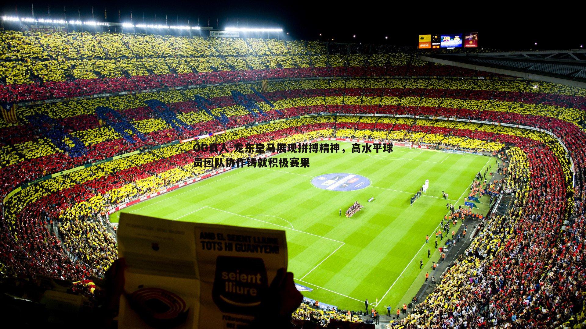 OG真人-龙东皇马展现拼搏精神，高水平球员团队协作铸就积极赛果